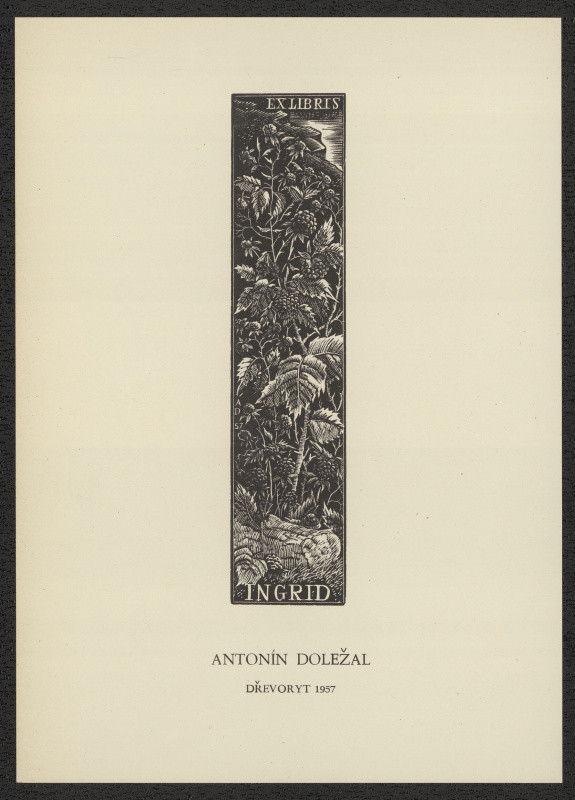 Antonín Doležal - Ex libris Ingrid