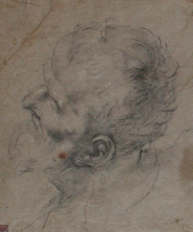 Peter Paul Rubens - Hlava starce