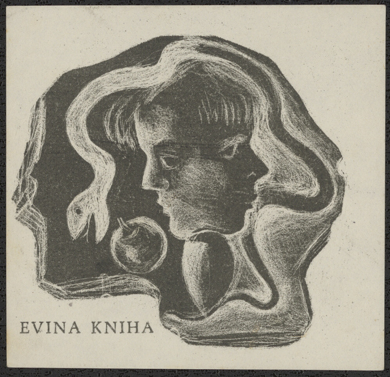 Dobroslava Bilovská - Evina kniha