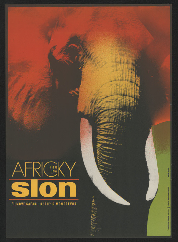 Karel Vaca - Africký slon