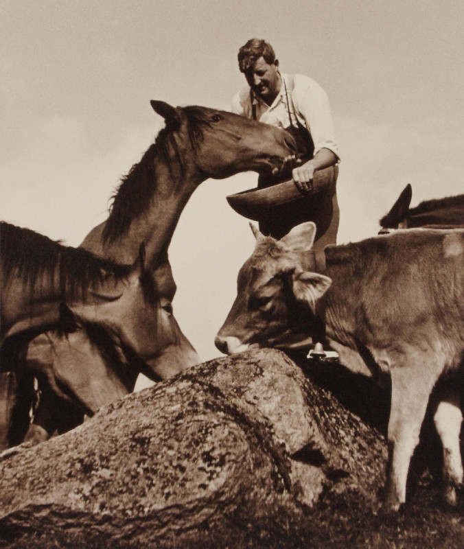 Grete Popper - Krmení dobytka