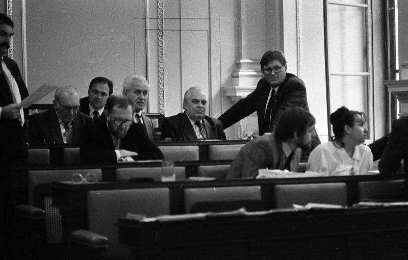 Dagmar Hochová - Lidovci v České národní radě, jaro 1991