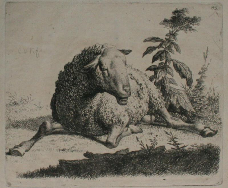 Carl Wilhelm Kolbe - Ležící ovce