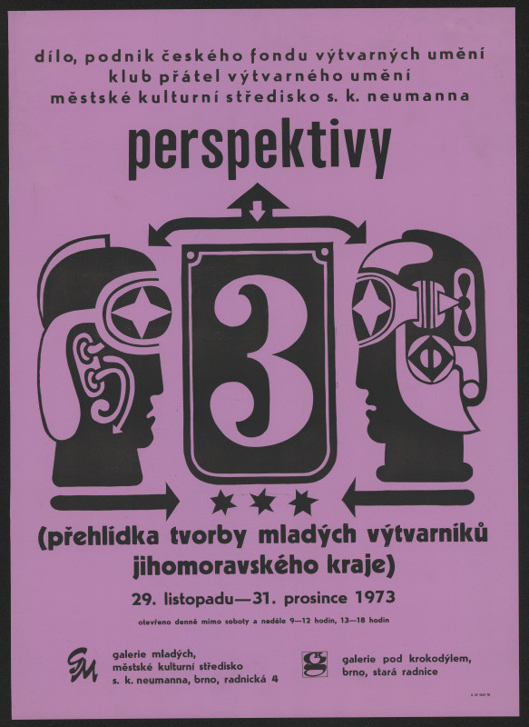 neznámý - Perspektivy…