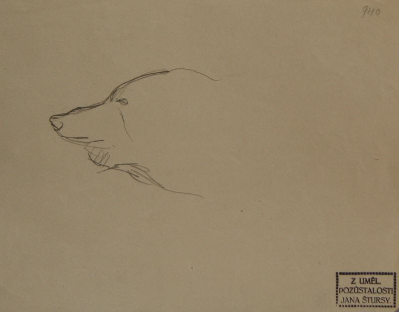 Jan Štursa - Hlava ledního medvěda