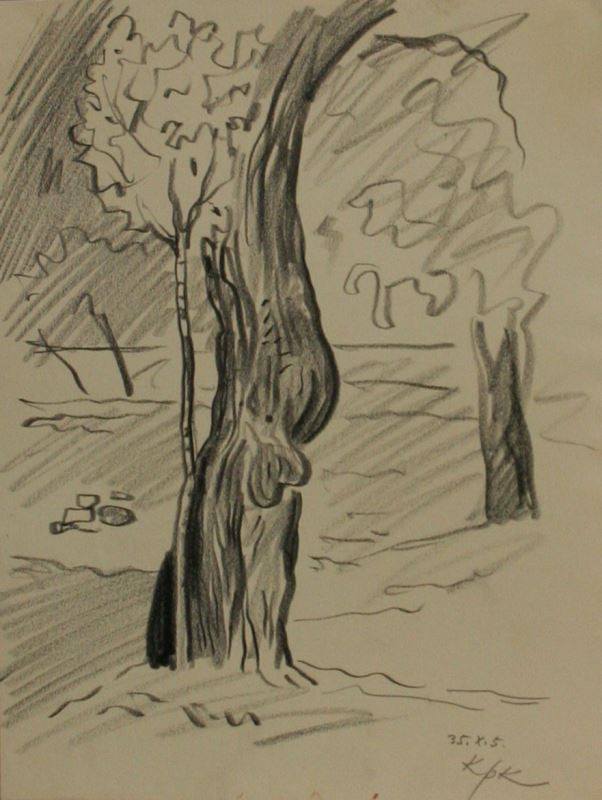 Jan Konůpek - Studie stromu