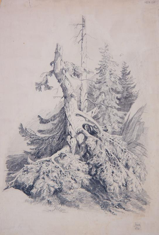 Julius Eduard Mařák - Studie stromu (Lesní karaktery No 20)