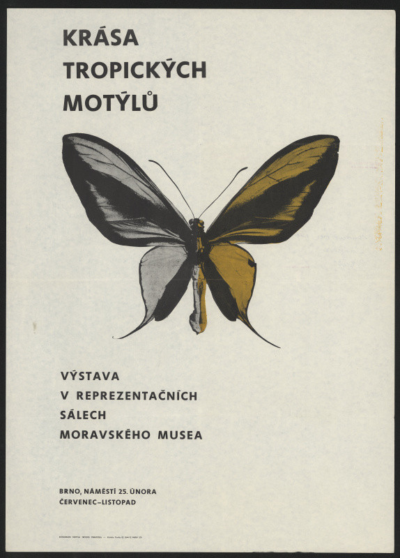 neznámý - Krása tropických motýlů ...Moravské museum Brno