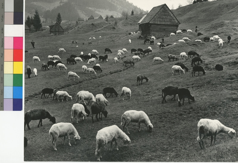 Josef Tichý - Bianco e nero