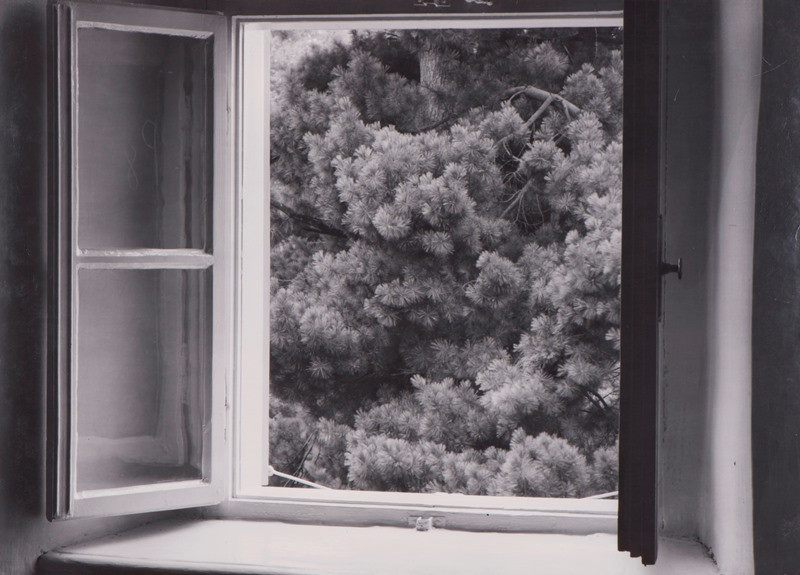 Jan Svoboda - Pohled z okna V / View from a Window V
