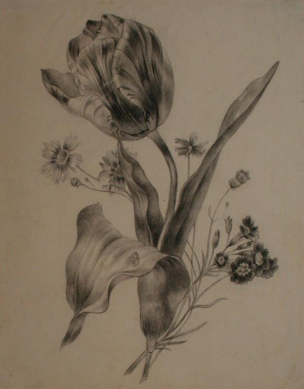neznámý kreslíř německý - Kytička květin