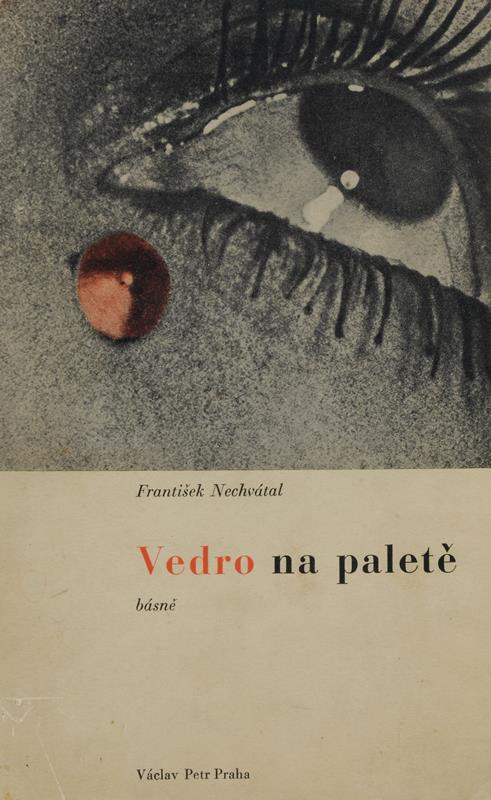 Zdeněk Rossmann - Vedro na paletě