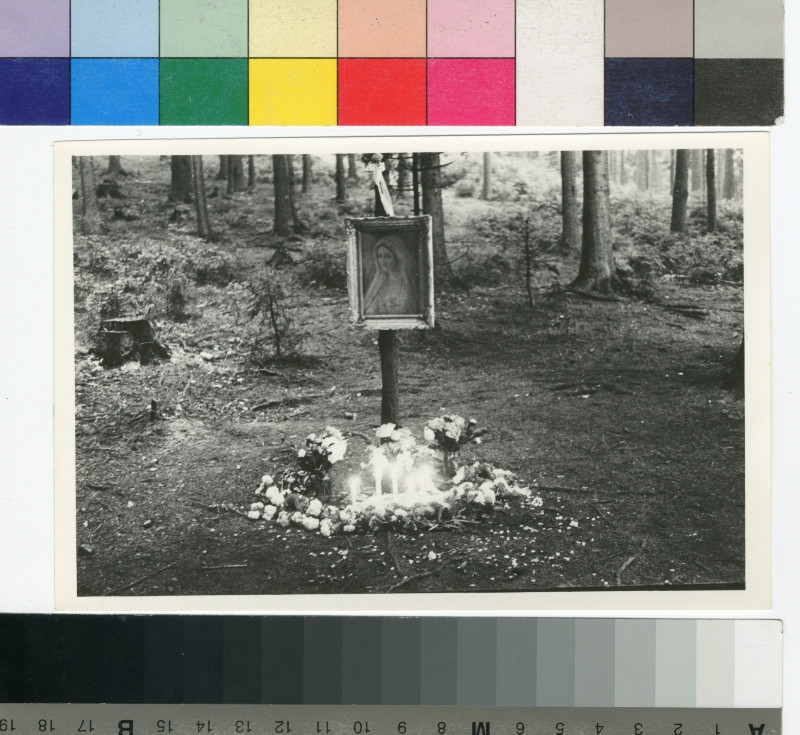 Josef Koudelka - Obraz madony v lese