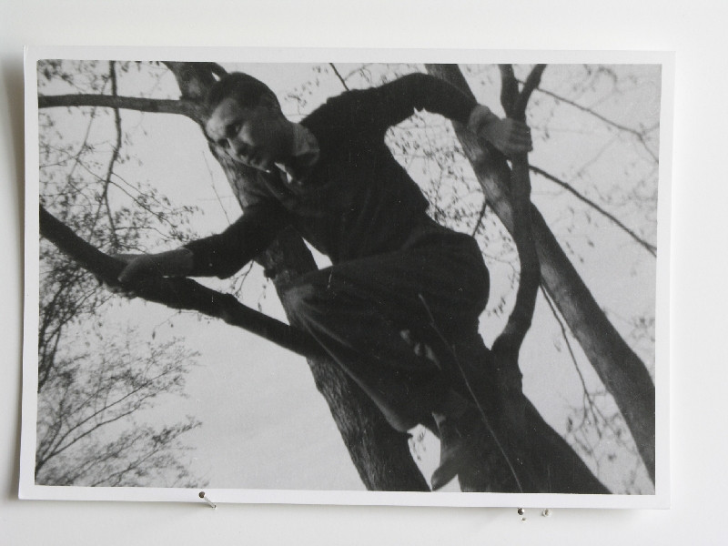 Karel Valter - Na stromě.