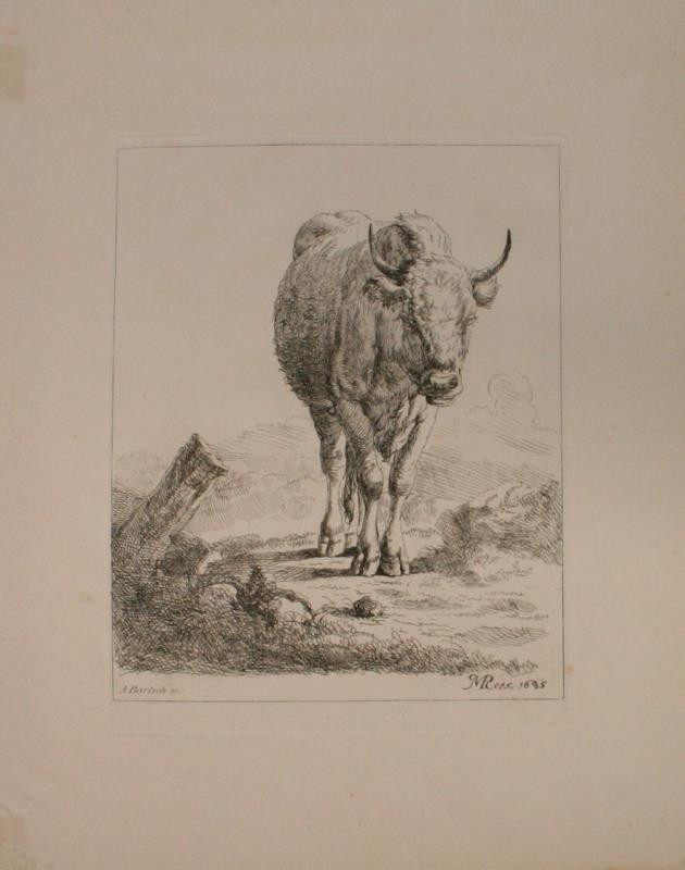 Adam Bartsch - Etudes d' animaux dessintes par H. Roos