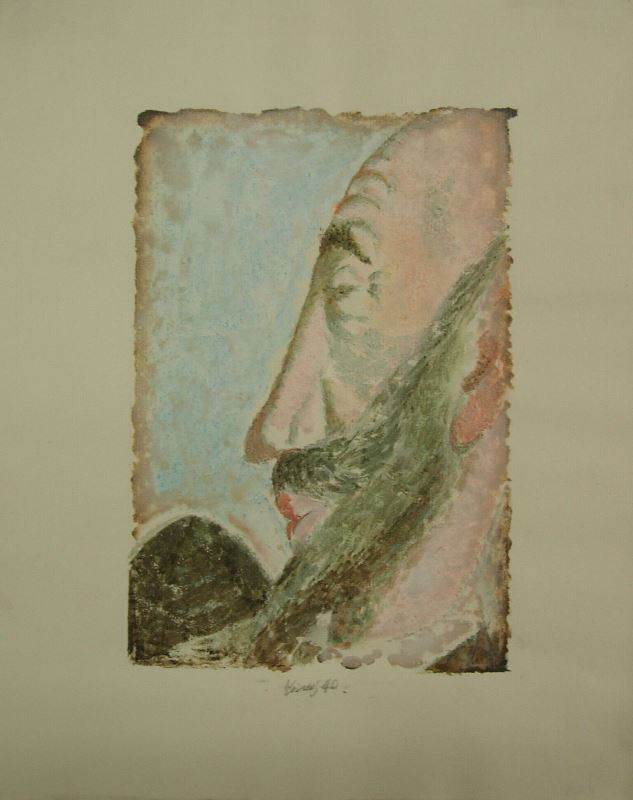 František Tichý - Don Quiote