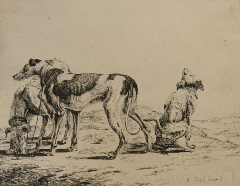 Jacob de Jonckheer - Tři honící psi