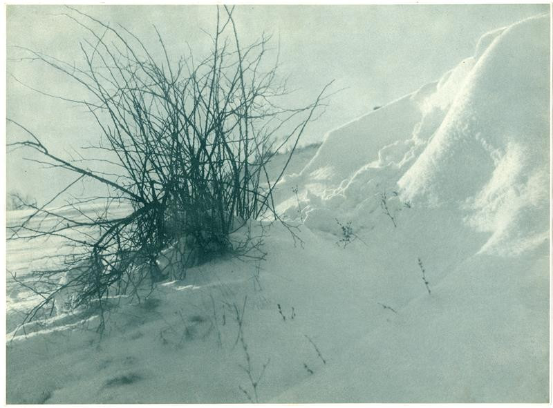 Jaroslav Krupka - Krajina v zimě