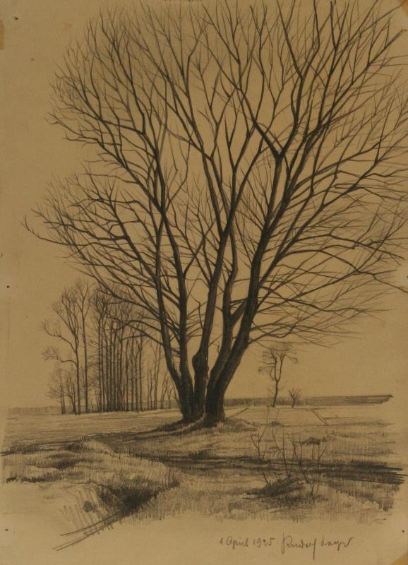 Rudolf Leger - Stromy v předjaří