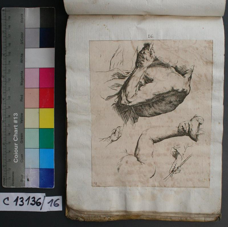 Jusepe (José) de Ribera - Livre de Portraiture: studie zad a ruky