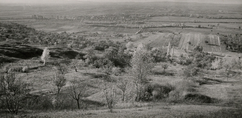 Miloš Spurný - Krajina u Židlochovic.