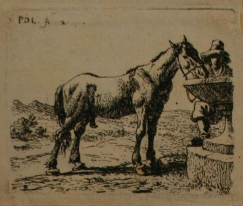 Pieter van der Laer - Pijící kůň