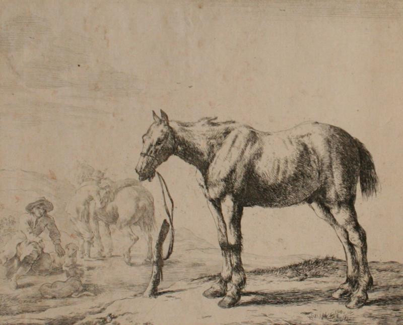 Dirk Stoop - Kůň