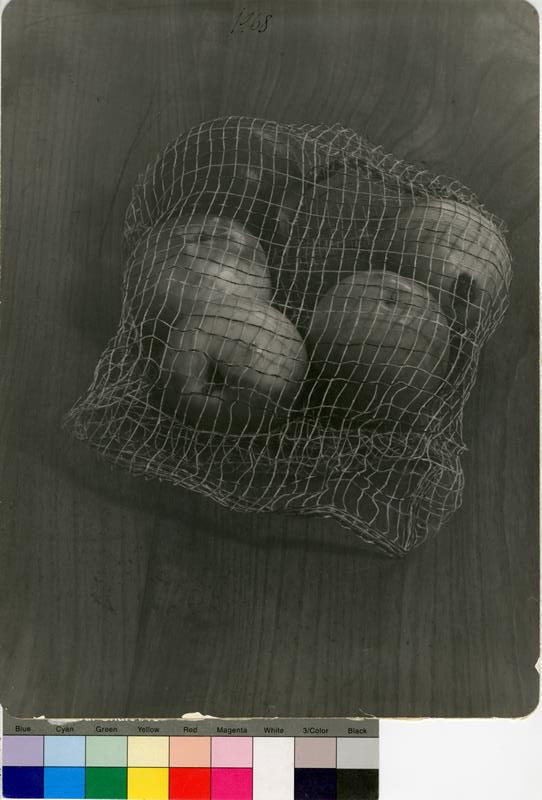 Jan Svoboda - Bez názvu (Jablka v síťce) / Untitled (Apples in a Net)