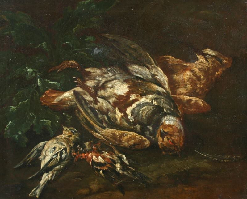 neznámý malíř rakouský - Zátiší s mrtvými ptáky