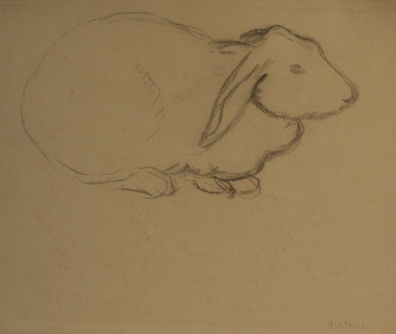 Josef Multrus - Studie králíka