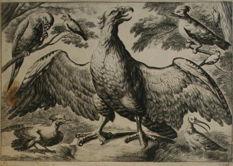 Cornelis Galle I. - Z cyklu Zoologie list 2
