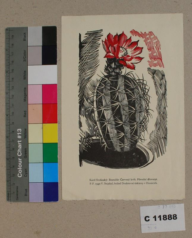 Karel Svolinský - Bezručův červený květ