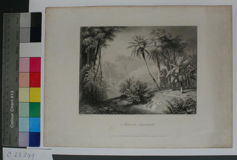 Albert Henry Payne - Tropische  Landschaft