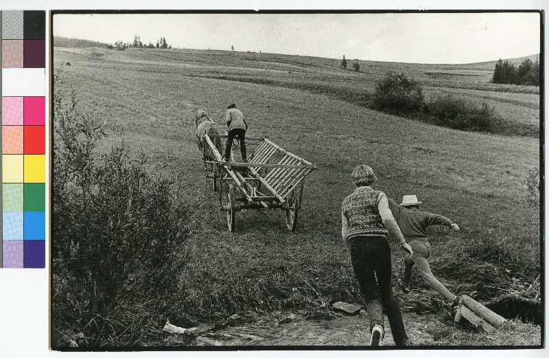 Dagmar Hochová - Bez názvu