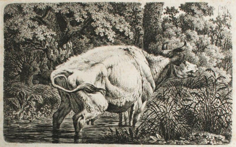 Carl Wilhelm Kolbe - Stojící kráva