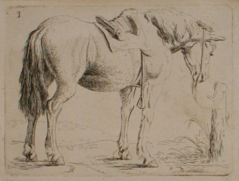 Jan van Aken - Osedlaný kůň