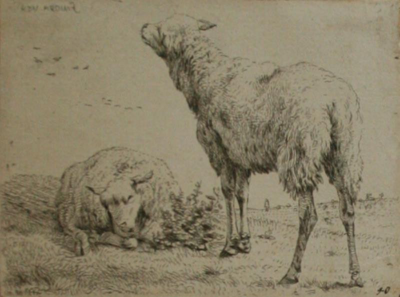 Karel Dujardin - Dvě ovce