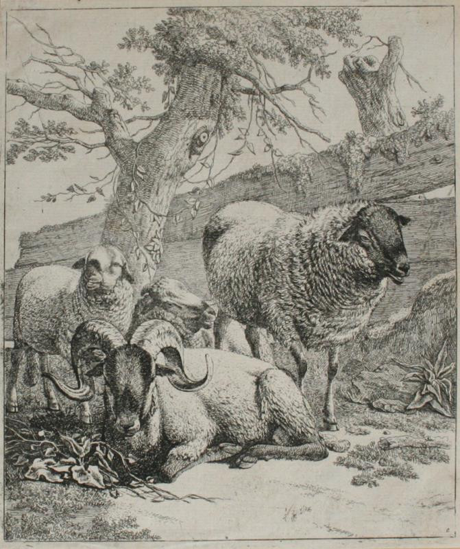 Johann Heinrich Roos - Ovce pod stromem