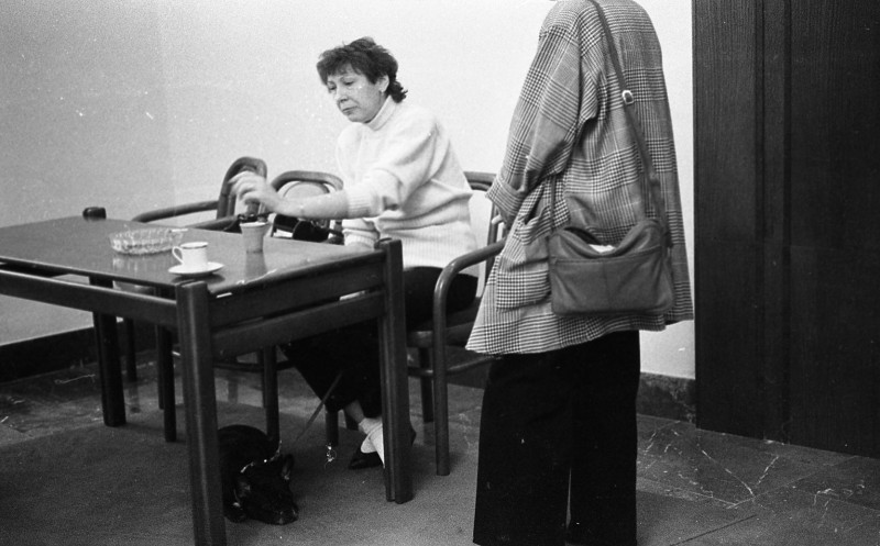 Dagmar Hochová - Poslankyně Anna Röschová v kuloárech České národní rady, podzim 1991