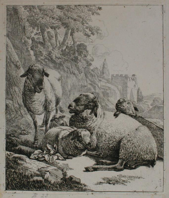 Johann Heinrich Roos - Skupina pěti ovcí