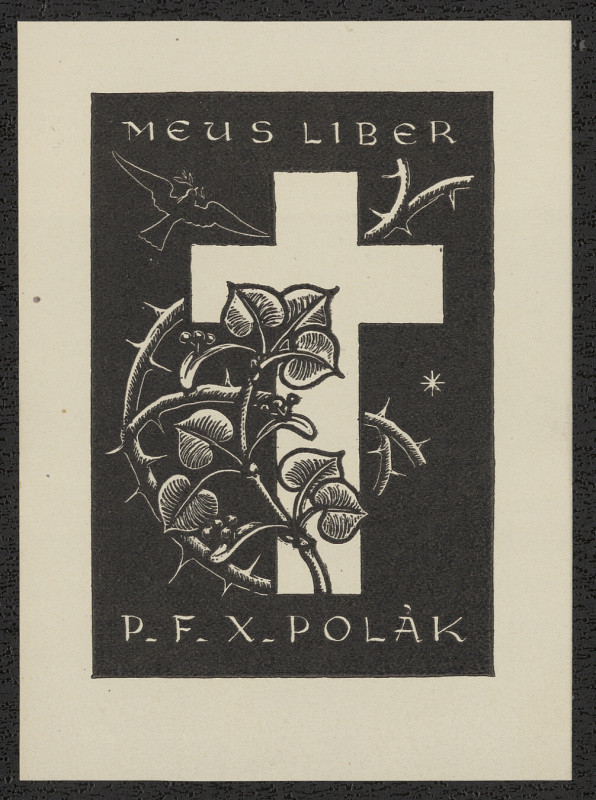 Antonín Kameník - Meus Liber PFX Polák