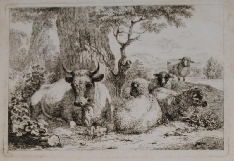 František Xaver, Rektorzik Rektořík - Ovce a kráva (Stádo pod stromy)
