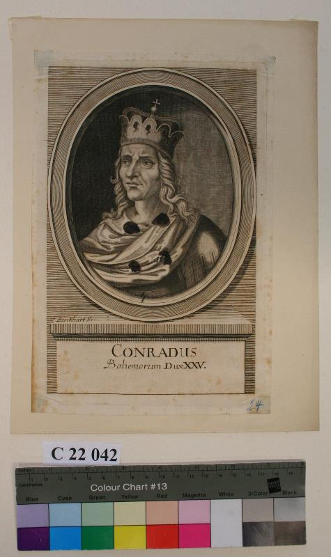 Antonín Birckhart - Conradus  Bohemorum  Dux  XXV.