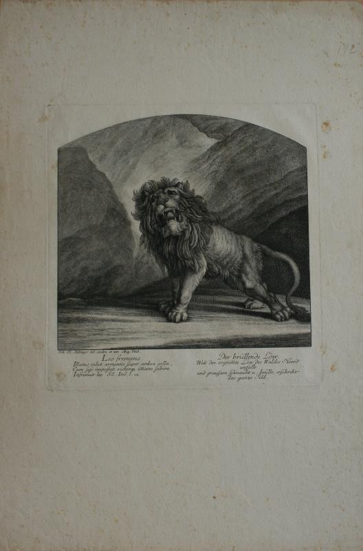 Johann Elias Ridinger (Riedinger) - Der brüllende Löw