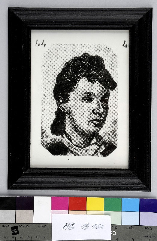 Roman Buxbaum - Rastrovaný portrét mladé ženy, 3/4 profil, stažené vlasy, nahoře čísla 44,4