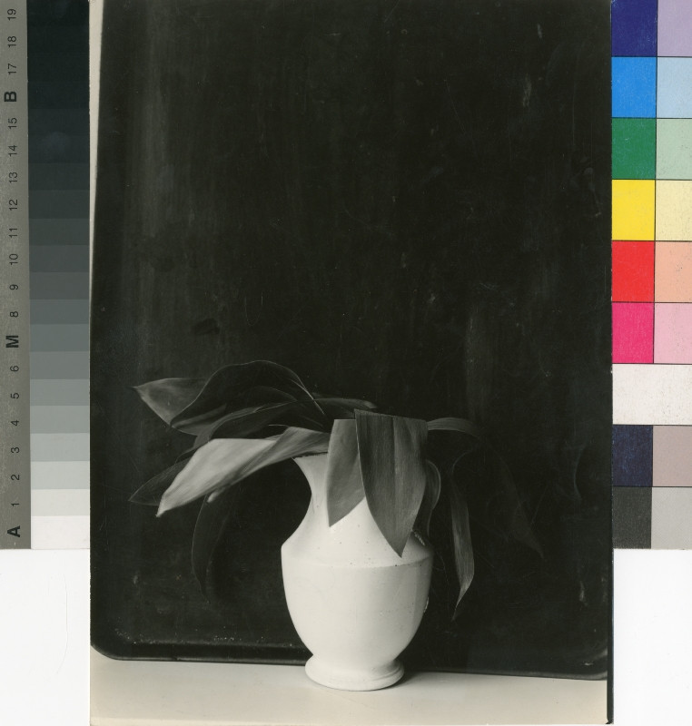 Jan Svoboda - Bez názvu (Květina v bílé váze) / Untitled (Flower in White Vase)