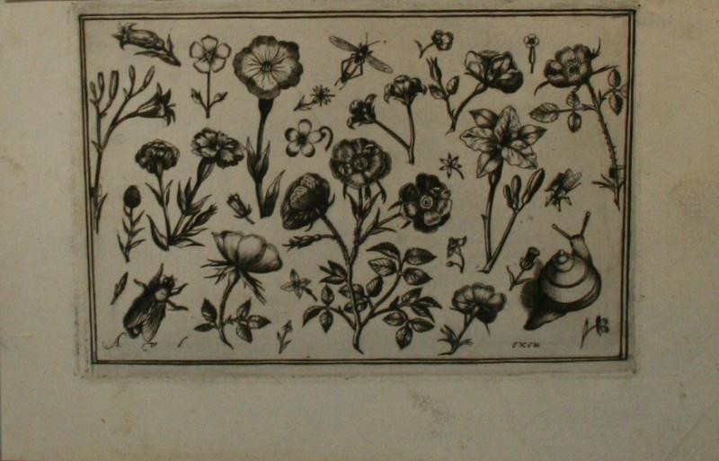 Assuerus Jansz van Landerseel - Květiny a zvířata