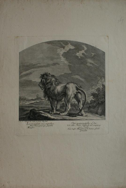 Johann Elias Ridinger (Riedinger) - Der majestaetische Löw