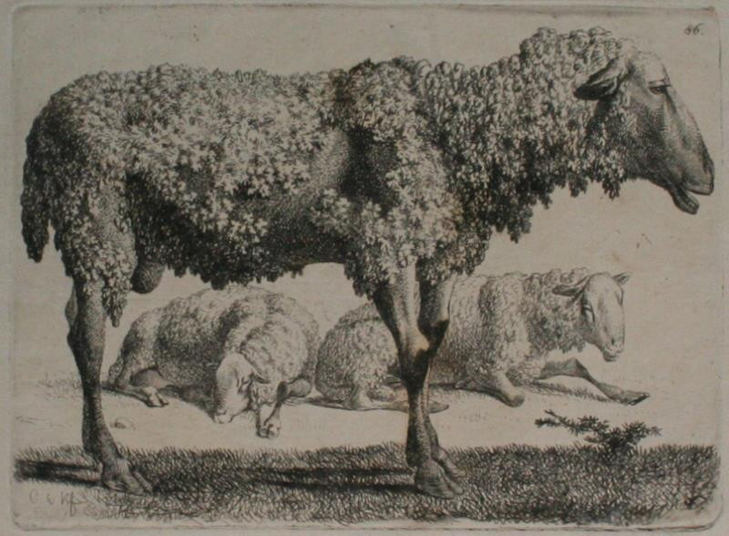 Carl Wilhelm Kolbe - Ostříhaná ovce