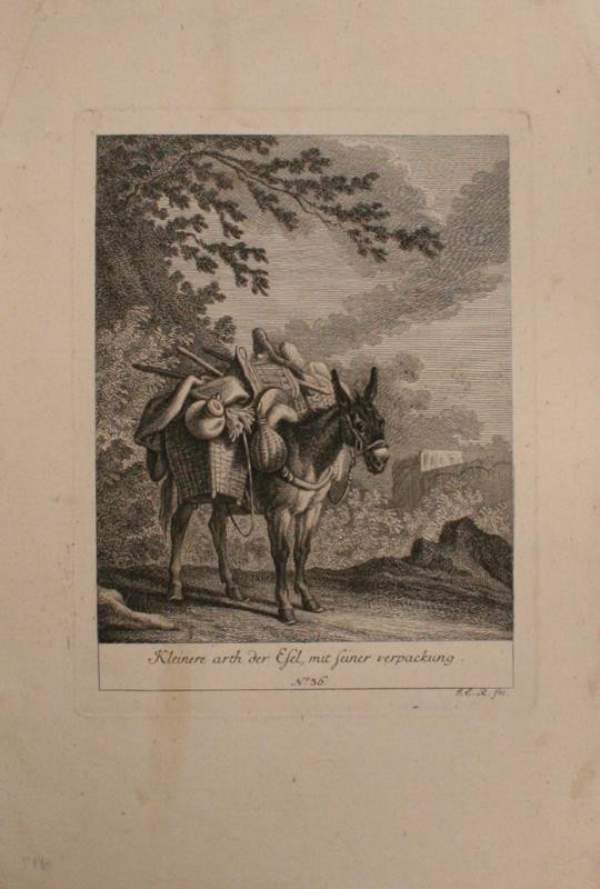 Johann Elias Ridinger (Riedinger) - Kleinere arth der Esel, mit seiner Verpackung